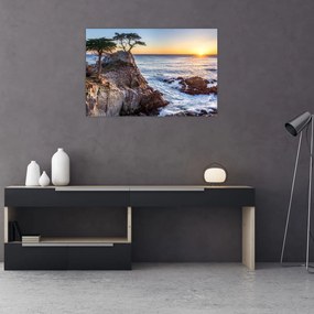 Tablou - Malul pacfic (90x60 cm)
