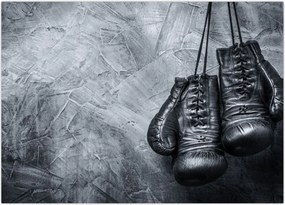 Tablou - Mănuși de box (70x50 cm)