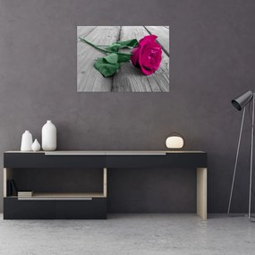 Tablou - Trandafir roz cu tulpina verde (70x50 cm)