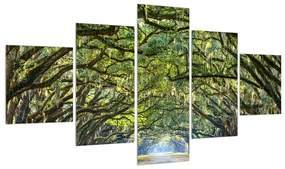 Tablou cu alee și copaci (125x70 cm), în 40 de alte dimensiuni noi