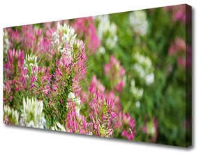 Tablou pe panza canvas Flori Floral Roz Alb Verde