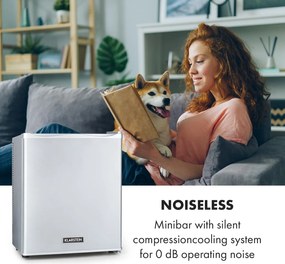 Klarstein Happy Hour 23, minibar, 23 l, 5 - 15 °C, clasa energetică G, silențios, 23 dB, lumină LED, argintiu