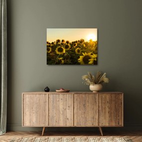 Tablou cu lan de floarea soarelui (70x50 cm)