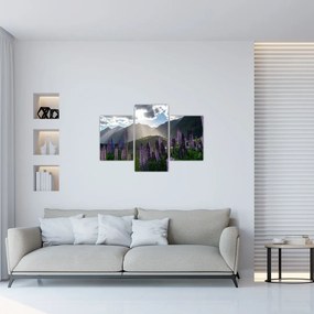 Tablou - scenariu cu flori de Lupin (90x60 cm)