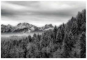 Fototapet munți înghețați în alb-negru