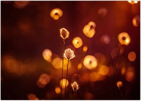 Tablou - Dimineața (70x50 cm)