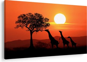 Tablou cu girafe în apus de soare (90x60 cm)