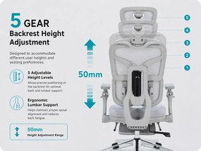 DeluxStar T9 FOAM Premium – Scaun ergonomic, Cotiere 6D, Suport Lombar Adaptiv, Spătar Reglabil pe Înaltime în 5 pozitii, Mecanism Înclinare/Blocare, Șezut buretat, Gri