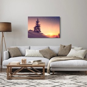 Tablou cu copac înzăpezit pe luncă (90x60 cm)