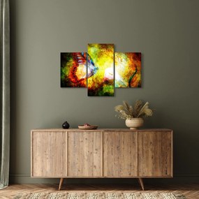 Tablou - Fluture spațial (90x60 cm)