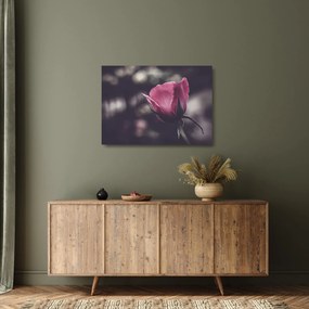 Tablou pe sticlă - Detaliu florii de trandafir (70x50 cm)