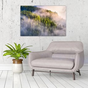 Tablou peisajului montan (90x60 cm)
