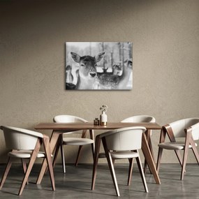 Tablou - Cerbi,alb-negru (70x50 cm)