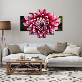 Tablou cu dalie roz (150x105 cm)