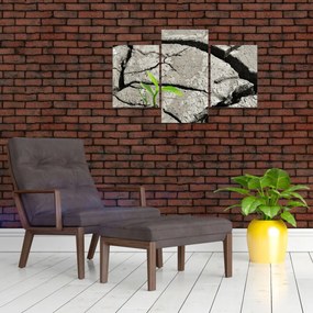 Tablou - Fisuri (90x60 cm)