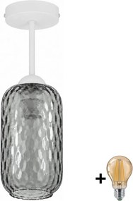 BRILAGI - Lustră aplicată LED R GLASS 1xE27/60W/230V Ø 14 cm alb/gri fumuriu