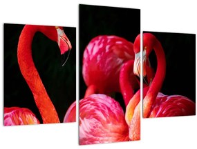 Tablou cu flamengo roșii (90x60 cm)