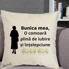 Cadou pentru Bunica - Perna Personalizata Bunica Mea Comoara Iubire Intelepciune Silueta cu Nepoata, 40x40 cm, Ecru, Husa Detasabila, Perna Inclusa, BEKZ®