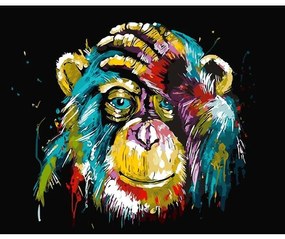 Pictura pe numere cu un cadru "Maimuță colorată" 50x40 cm