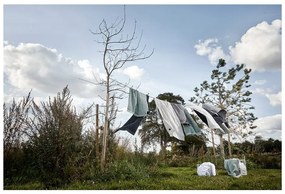 Prosop din bumbac 100% Zone Classic Eucalyptus, 50 x 100 cm, gri verde