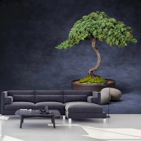 Fototapet - Bonsai (147x102 cm)