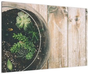 Tablou - Terariu de sticlă (90x60 cm)