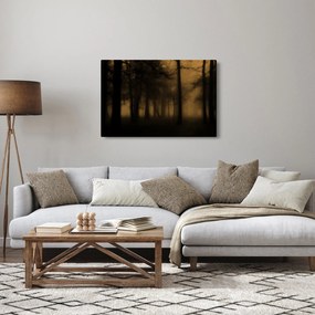 Tablou - Pădurea întunecată (90x60 cm)