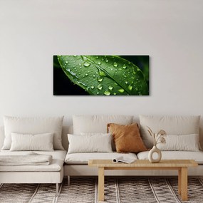 Tablou - Frunză după ploaie (120x50 cm)