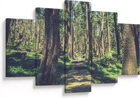 Tablou cu drum între copaci (150x105 cm)