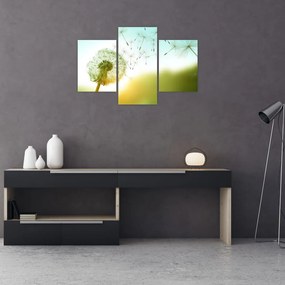 Tablou - Păpădia în vânt (90x60 cm)