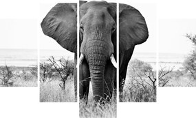 Tablou - Elefantul african II. (150x105 cm)
