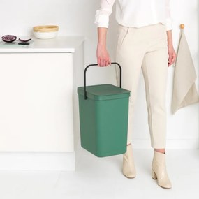 Cos de gunoi colectare selectiva Brabantia Sort&Go 1003236, 25 L, Maner, Montabil pe perete, Verde inchis