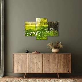 Tablou cu poiana și flori (90x60 cm)