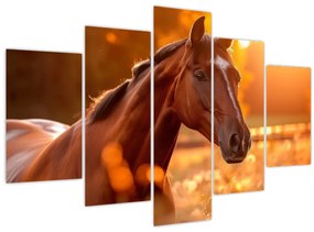 Tablou - Cal în apus de soare (150x105 cm)