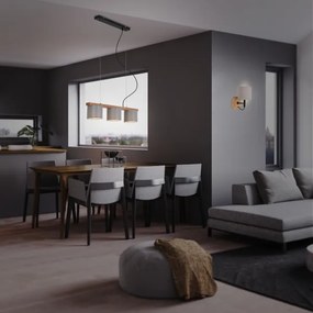 Lustră pe cablu RHON 3xE14/25W/230V Briloner