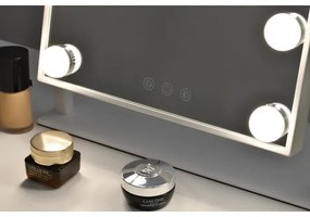 Oglindă LED cosmetică dimabilă Immax 08984L MUST HAVE LED/12W/230V