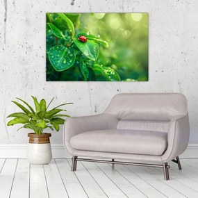 Tablou - Buburuza (90x60 cm)