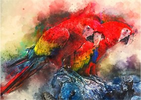 Tablou - Papagali roșii ara (70x50 cm)