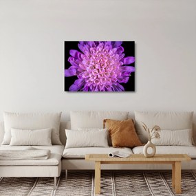 Tablou pe sticlă detailat cu floare (70x50 cm)