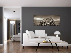 Tablou cu leii alb negri (120x50 cm)