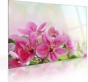 Tablou pe sticlă - Flori roz (70x50 cm)