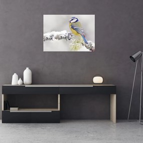 Tablou - Tit albastru în pădure (70x50 cm)