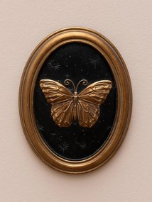 Set 4 tablouri polyrasina cu insecte " Entomology "