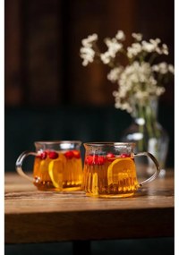 Căni 2 buc. pentru cappuccino/cu perete dublu 320 ml Mia – Vialli Design