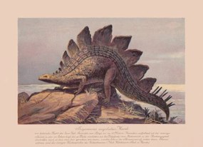 Ilustrație Stegosaurus ungulatus, Late Jurassic, chromolithograph, published, ZU_09