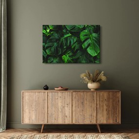 Tablou cu frunze Monstery (90x60 cm)