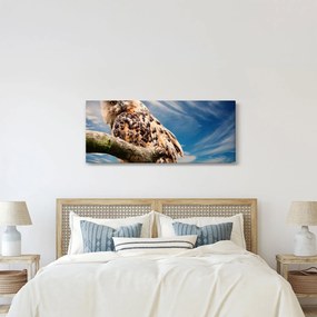Tablou cu bufnița (120x50 cm)
