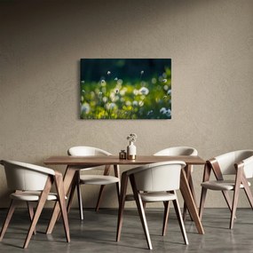 Tablou - Iarbă (90x60 cm)