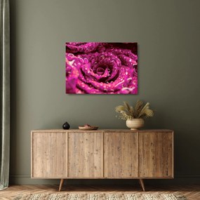 Tablou pe sticlă cu floarea trandafirului roz (70x50 cm)