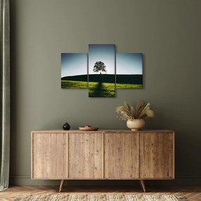 Tablou cu natura - copac (90x60 cm)